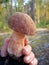 Gourmet mushroom in the hand with blurred pinery forest on the background