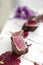 Gourmet seared tuna in black pepper crust with beetroot coulis