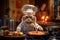 Gourmet Whiskers: Cat Chef\\\'s Tasty Creation