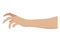 Grabbing hand. Picking hand. Grab gesture. Vector illustration. Flat design EPS