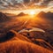 The grace and serenity of hang gliding captured in evening sun