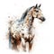 Graceful Appaloosa Horse in Watercolor on White Background for Invitations and Posters.