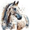 Graceful Appaloosa Horse in Watercolor on White Background for Invitations and Posters.