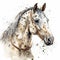 Graceful Appaloosa Horse in Watercolor on White Background for Invitations and Posters.