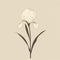 Graceful Balance: A Monotone Iris On Beige Background