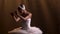 Graceful ballerina in a chic image of a white swan. Young beautiful girl in a white tutu with sequins and a crown