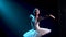 Graceful ballerina in a chic image of a white swan. Young beautiful girl in a white tutu with sequins and a crown