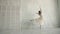 A graceful ballerina in a light flying dress dances on tiptoes in pointe shoes.