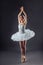 Graceful ballet dancer or classic ballerina dancing  on grey studio background. The dance, grace, artist, contemporary,