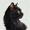 Graceful Black Cat Poses on White Background for Your Design Needs.