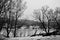 Graceful black silhouettes of trees on river bank. Monochrome photo