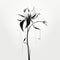 Graceful Black And White Flower Illustration With Dreamlike Touch