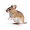 Graceful Brown Mouse In Realist Lifelike Accuracy