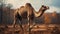 Graceful Camel In Vray Style: A Stunning Image Of Wilderness