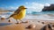 Graceful Canary On A Sandy Beach: Soft Focus Photography In High Resolution