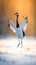 Graceful Crane Dancing in Snowy Field