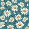 Graceful Daisy Haven Floral Elegance