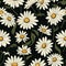 Graceful Daisy Meadow Floral Artistry