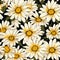 Graceful Daisy Radiance Floral Art