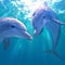 Graceful dolphins dancing in tandem, embodying the oceans enchantment