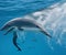 Graceful Elegance: A Mesmerizing View of a Dolphin Swimming in the Water. AI Generated