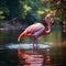 Graceful elegance Pink flamingo swimming on a serene lake