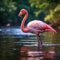 Graceful elegance Pink flamingo swimming on a serene lake