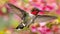Graceful and energetic hummingbirds in flight, aiming towards nectar filled blossoms