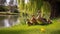 Graceful Family of Four Brown Ducks Enjoying Serene Park Pond