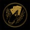 Graceful female hand of a gypsy woman holds tarot cards. Round gold icon on a black background. The concept of