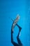 Graceful Fins of the Free Diver: A Snapshot of Underwater Elegance
