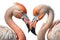 Graceful Flamingo Couple in High Resolution. Perfect for Wedding Invitations.