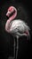 Graceful Flamingo on Dark Background in Black and White.