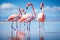 Graceful Flamingos Wading in Caribbean Waters Tropical Wildlife Birds, Ai Generative