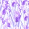 Graceful flowers iris bouquets overlap creating a single background in purple shades