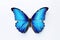 Graceful Flutter: Butterfly on Transparent Background.