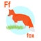 Graceful forest beauty fox, wonderful bright predator, ABC children`s banner. Postcards, a poster with the alphabet.  Game room