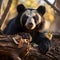 Graceful Forest Wanderer: The Sloth Bear