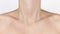 Graceful forms of the girl Neck, shoulders and collarbones, of a young beautiful woman. Beauty and skin care concept