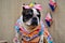 Graceful French Bulldog dressed in redneck with bow on his head