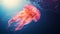 Graceful giant bell jellyfish peacefully swimming in the clear and tranquil waters of the vast ocean