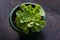 A graceful green cactus rosette in a flower pot against a background of dark old metal. Succulent, stone lotus nematode plants