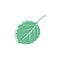 Graceful green leaf. Flat twig. Vector isolated element. Garden plant. Icon