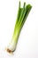 Graceful Greens: Isolated Leek Showcasing Nature\\\'s Delight on a White Background