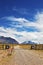 Graceful guanaco watches the road