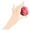 A graceful hand holds a red ripe apple. Vector stock illustration isolated