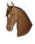 Graceful head of a bay horse. Akhal-Teke horse - vector full color illustration. Stallion of the Eastern breed with a white mark o