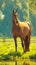 Graceful horse amid greenery, a captivating view of natures beauty