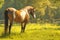 Graceful horse amid greenery, a captivating view of natures beauty