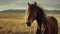 Graceful Horse Portrait Amidst a Vast Landscape.